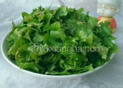春风拂面……拌生菜