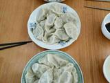 芽苗菜白菜肉馅