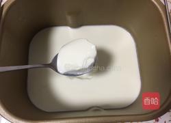 自制酸奶的做法图解8