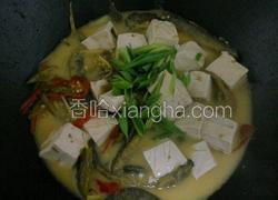 泥鳅豆腐