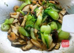 海米香菇油菜的做法图解14
