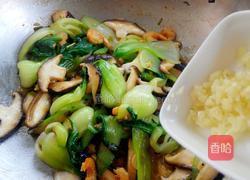 海米香菇油菜的做法图解15