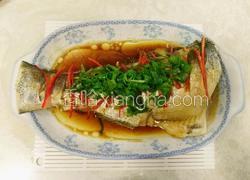 清蒸大头鲢鱼断