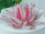 莲花