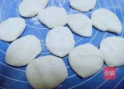 韭菜鸡蛋饺子的做法图解8