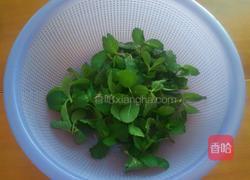 野葱薄荷拌折耳根的做法图解2