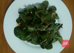 野葱薄荷拌折耳根的做法图解10