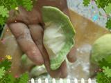 彩色荠菜饺子