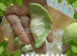 彩色荠菜饺子