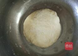 彩色荠菜饺子的做法图解4