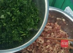 彩色荠菜饺子的做法图解14