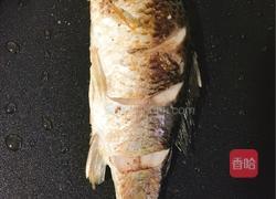 红烧鲫鱼的做法图解6