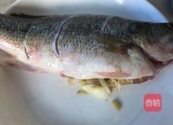 川味泡菜清蒸鲈鱼的做法图解4