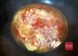 西红柿鸡蛋汤的做法图解6