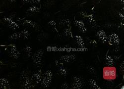 自制桑葚膏的做法图解1