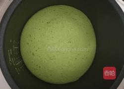 菠菜蛋糕()和这个春天更配哦的做法图解7