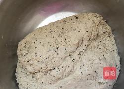 玉米荞面全麦大碱杂粮包的做法图解10