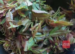 香椿炒鸡蛋的做法图解2