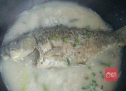 鲫鱼汤的做法图解7