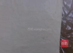蝴蝶酥（黄油不用裹在面粉里）的做法图解10
