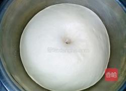 牛角包（玉米油版）的做法图解6