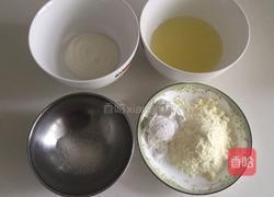 蛋白酸奶片的做法图解1