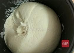 竹笋干香怱猪肉包的做法图解5