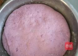 紫薯馒头的做法图解4