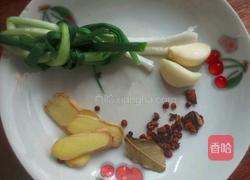 自制肉松的做法图解2