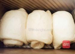 淡奶油奶香蜂蜜吐司(中种法)的做法图解17