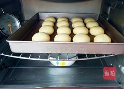 卡仕达香橙小餐包的做法图解16