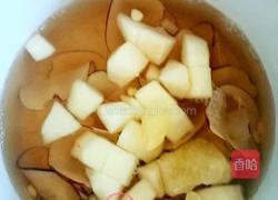 广式海底椰南北杏仁冰糖水的做法图解3