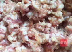 茴香猪肉馄饨的做法图解1