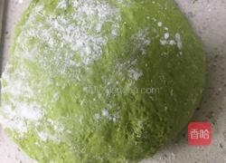自制蝴蝶面的做法图解8