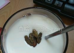 自制葡萄干酸奶