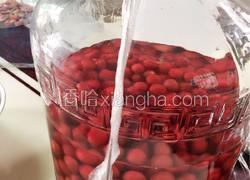 李子酒