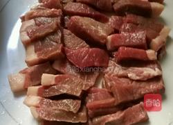 红烧牛肉 来一碗 （家常做法）的做法图解1