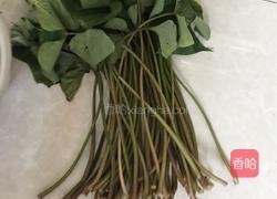 肉丝炒蕃薯藤的做法图解1