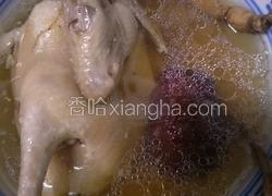 鲜人参炖白鸽汤