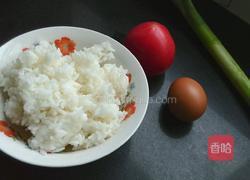 西红柿蛋炒饭的做法图解2