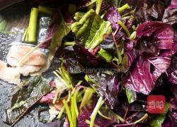 红萰菜肉片汤的做法图解5