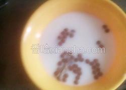 酸奶骨头狗粮