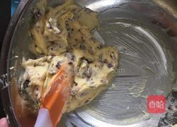 蔓越莓饼干的做法图解8