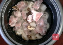 排骨炖藕汤的做法图解4