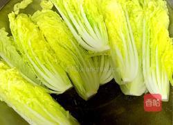 蒜蓉粉丝娃娃菜的做法图解3