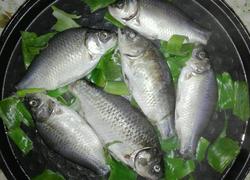电饼铛葱叶烤小鱼