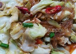 包菜粉丝