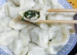 茴香大肉饺子