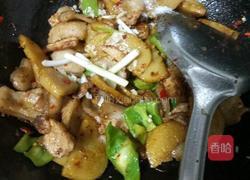米豆腐回锅肉的做法图解9