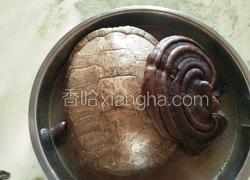 灵芝土茯苓乌龟汤